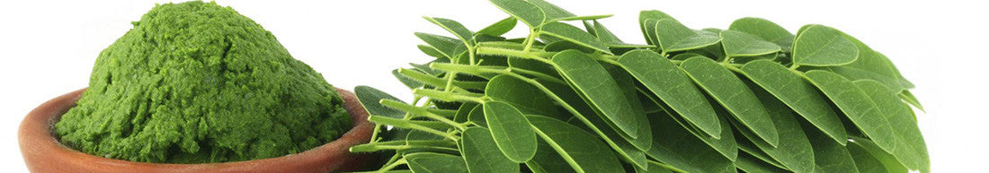 Moringa | High Quality Supplements